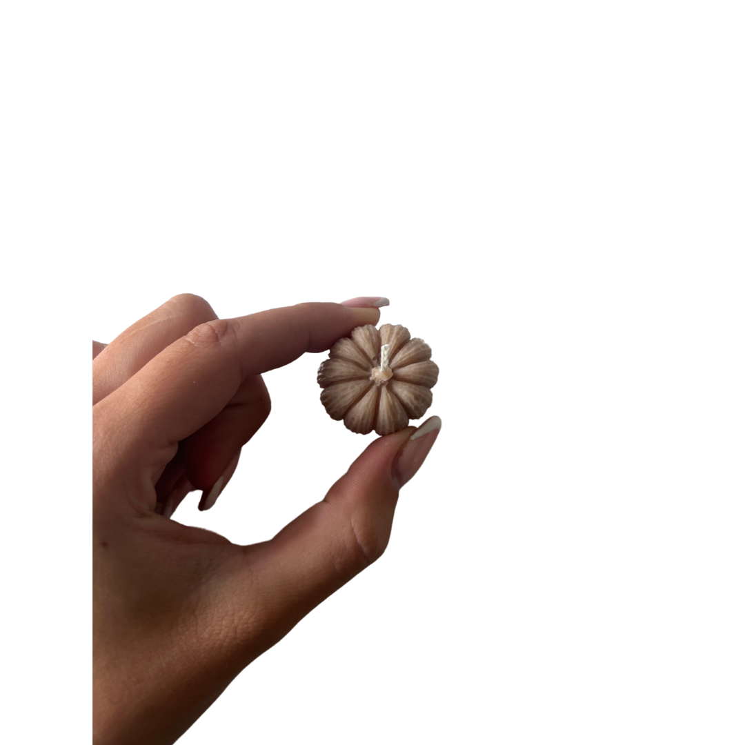 Pompoen Kaars Mini