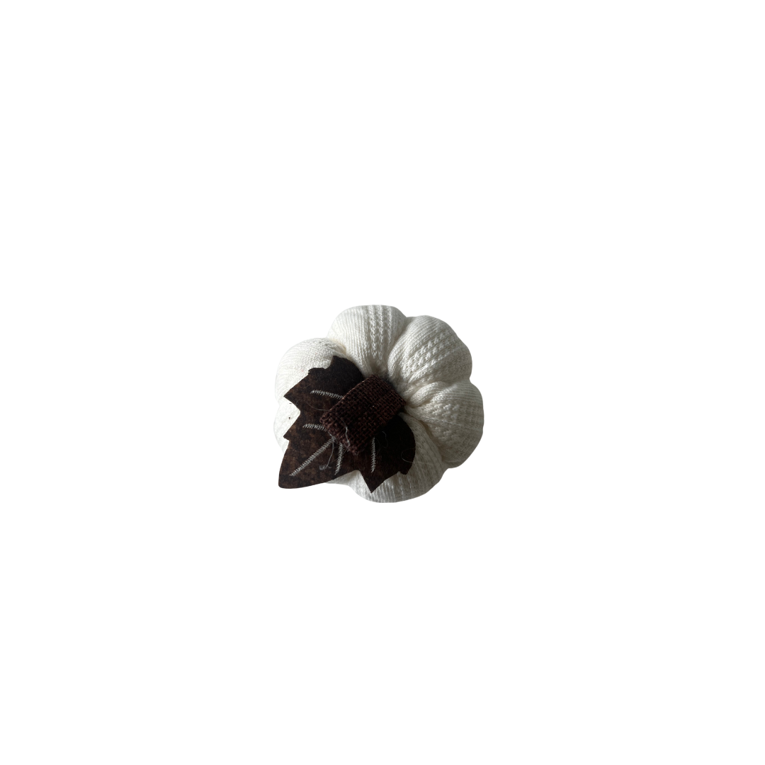 Pompoen Kussen Accessoire